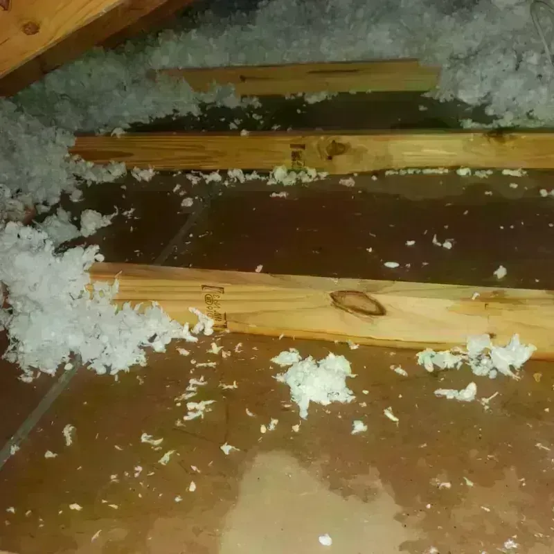 Attic Water Damage in Fayette, AL