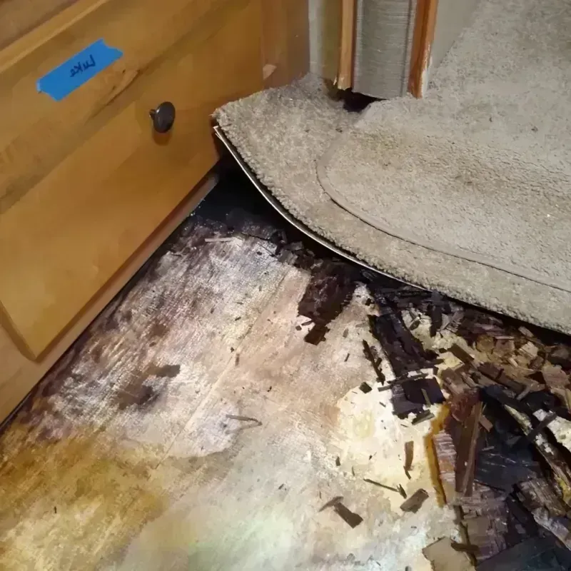 Wood Floor Water Damage in Fayette, AL